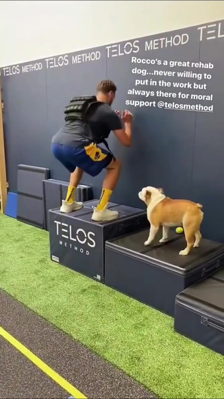 NBA最出名的小狗汤普森爱犬Rocco近期离世